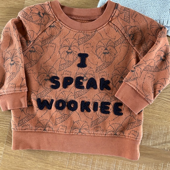 Bundle size 12-18 months fall tops - Picture 2 of 13